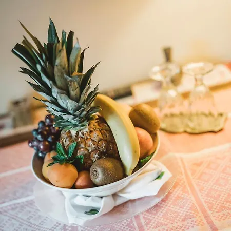 Daire Alpine Chalet Turquino