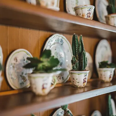 Daire Alpine Chalet Turquino