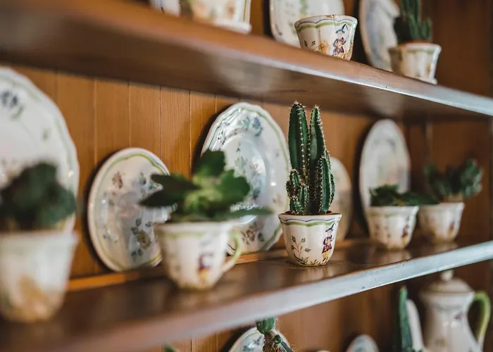 公寓 Alpine Chalet Turquino