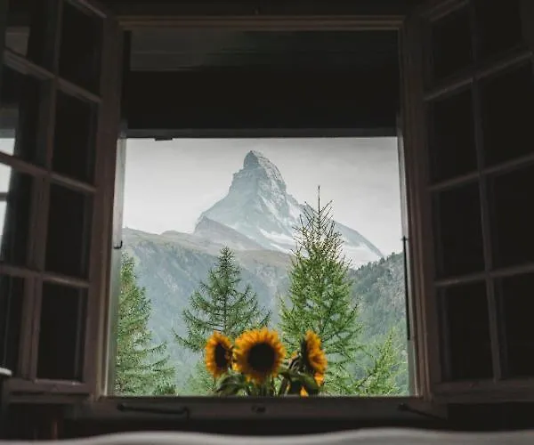 公寓 Alpine Chalet Turquino 采尔马特